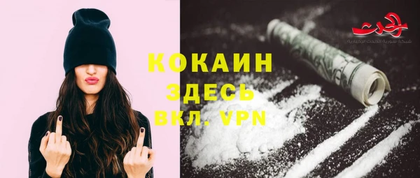 прущие грибы Балахна