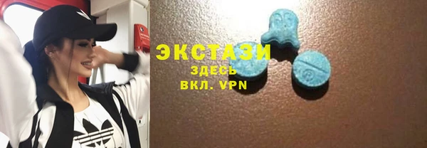 прущие грибы Балахна