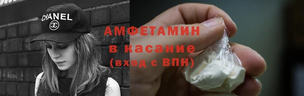 прущие грибы Балахна
