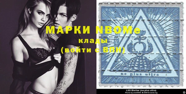 прущие грибы Балахна