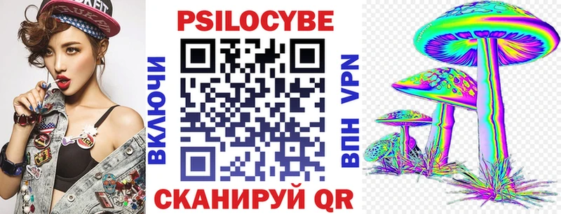 Галлюциногенные грибы Psilocybe  где можно купить наркотик  Афипский 